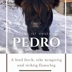 Feiserhof - Apartment Navis