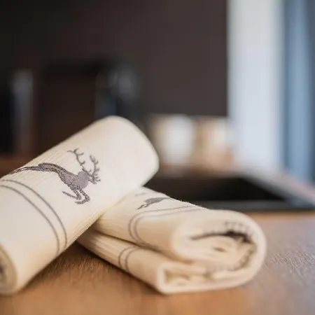 Feiserhof - Διαμέρισμα *