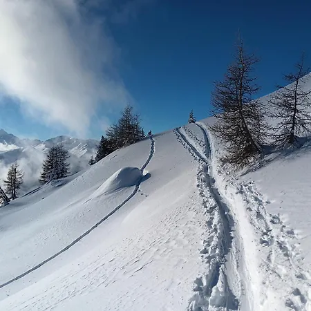 Διαμέρισμα Feiserhof -