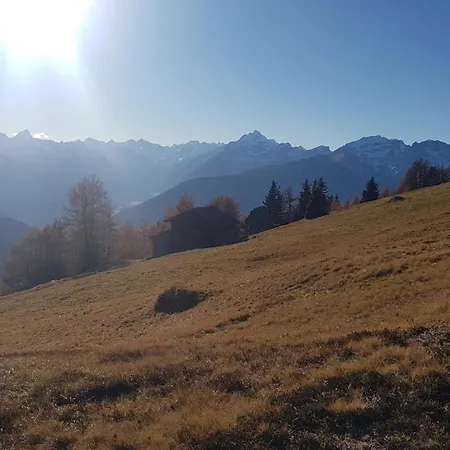 Feiserhof - Διαμέρισμα *