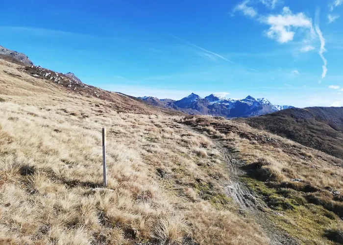 아파트 Feiserhof - *