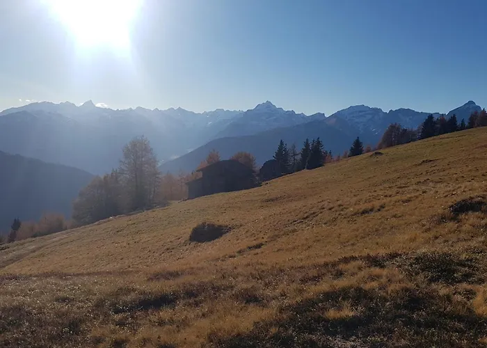 Feiserhof - 아파트 *