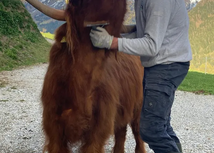 아파트 Feiserhof - *