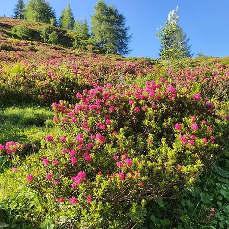 Apartmán Feiserhof -